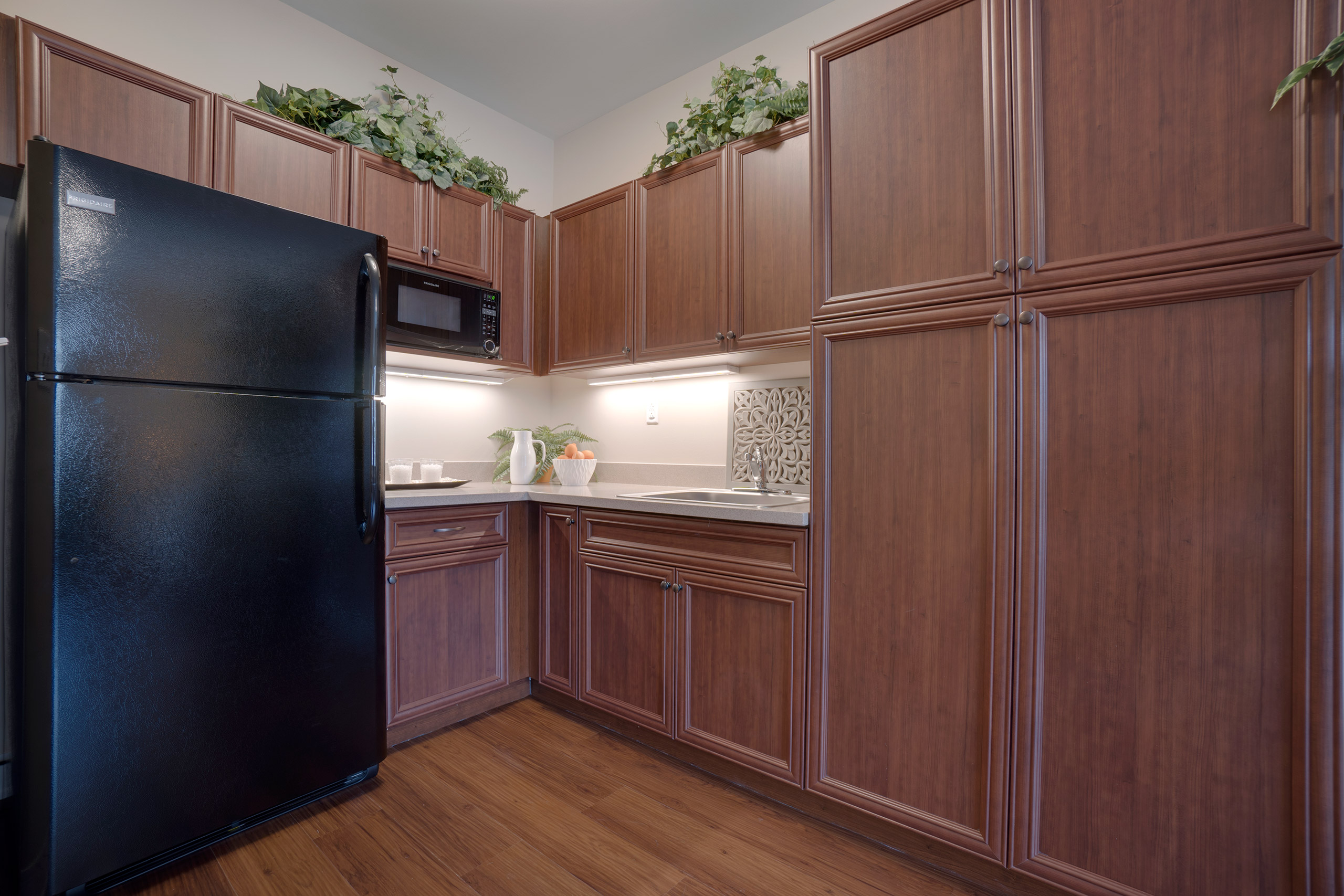 Some apartments in Assisted Living offer fully appointed kitchens